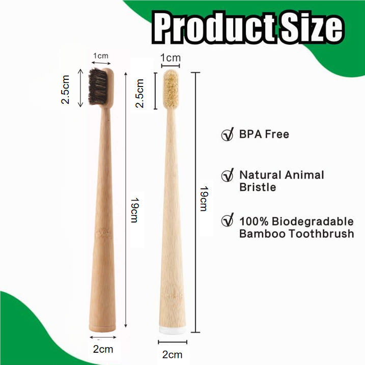 4'lü Paket Domuz Kılı / At Kıl - Bamboo Toothbrush Set incelemesi ve fiyatı